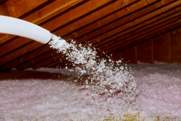 Best Residential Insulation Services  in Fond Du Lac, WI