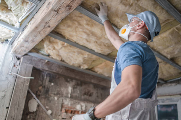 Best Attic Insulation Installation  in Fond Du Lac, WI