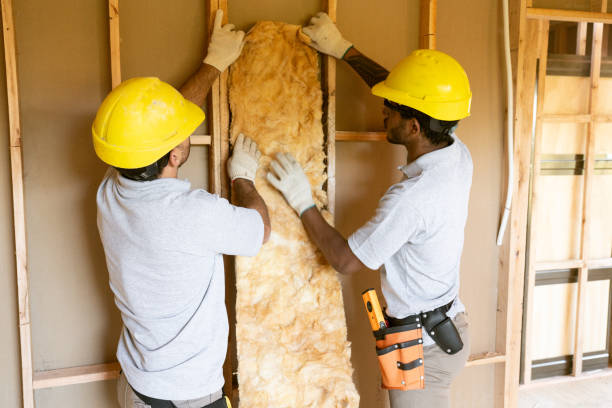 Best Fiberglass Insulation  in Fond Du Lac, WI